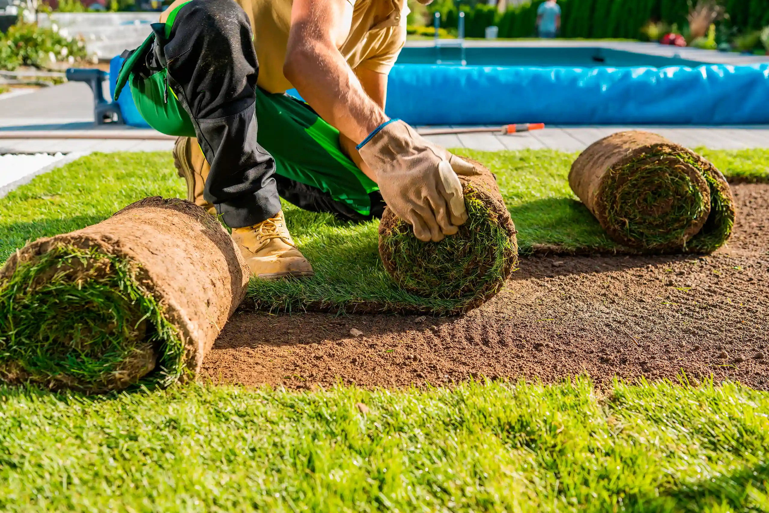 Lawncare
